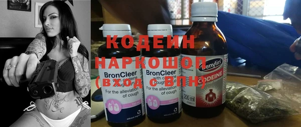 индика Мегион