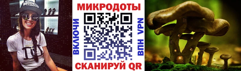 блэк спрут зеркало  Батайск  Псилоцибиновые грибы GOLDEN TEACHER  наркошоп 